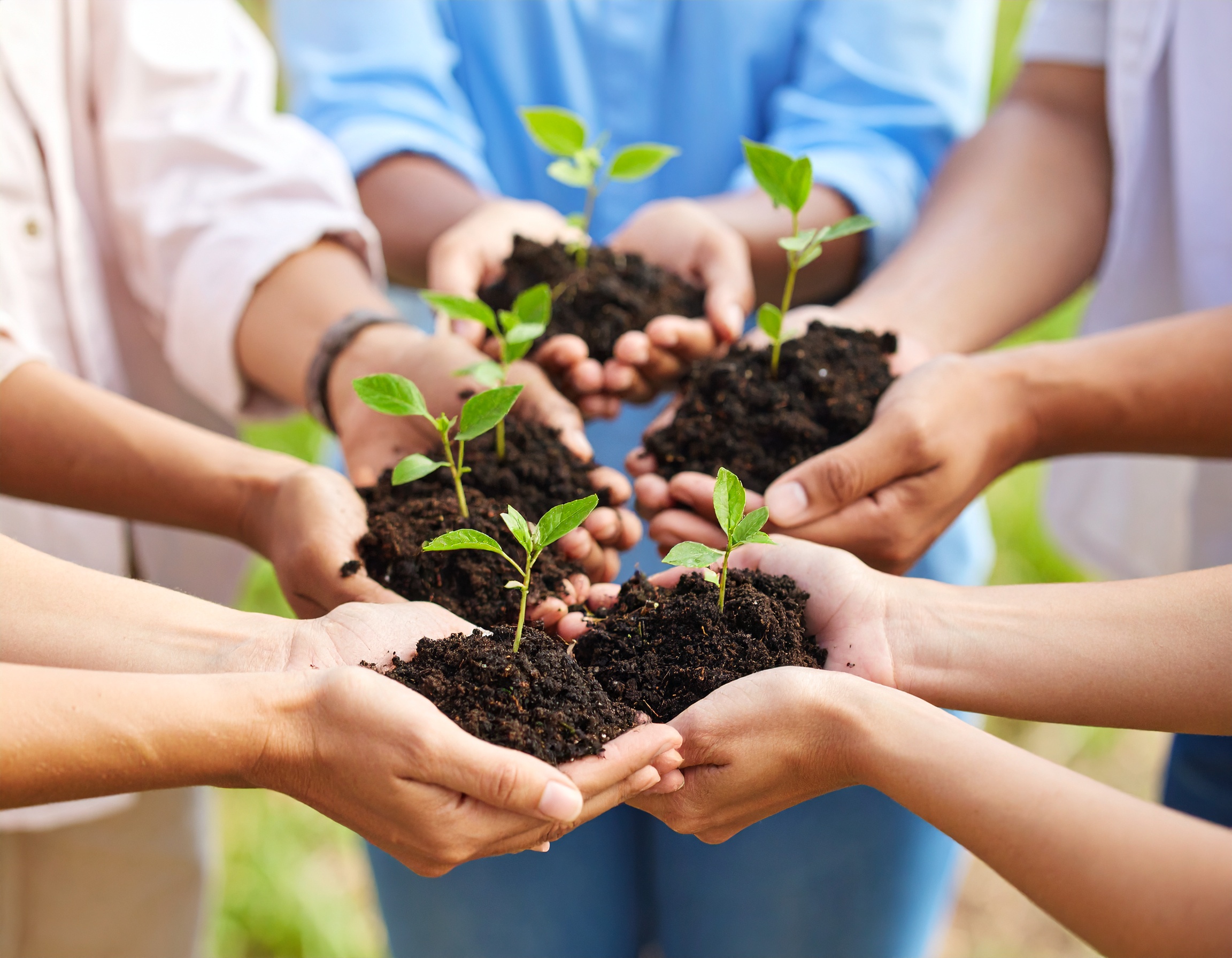 Collaboration and Growth